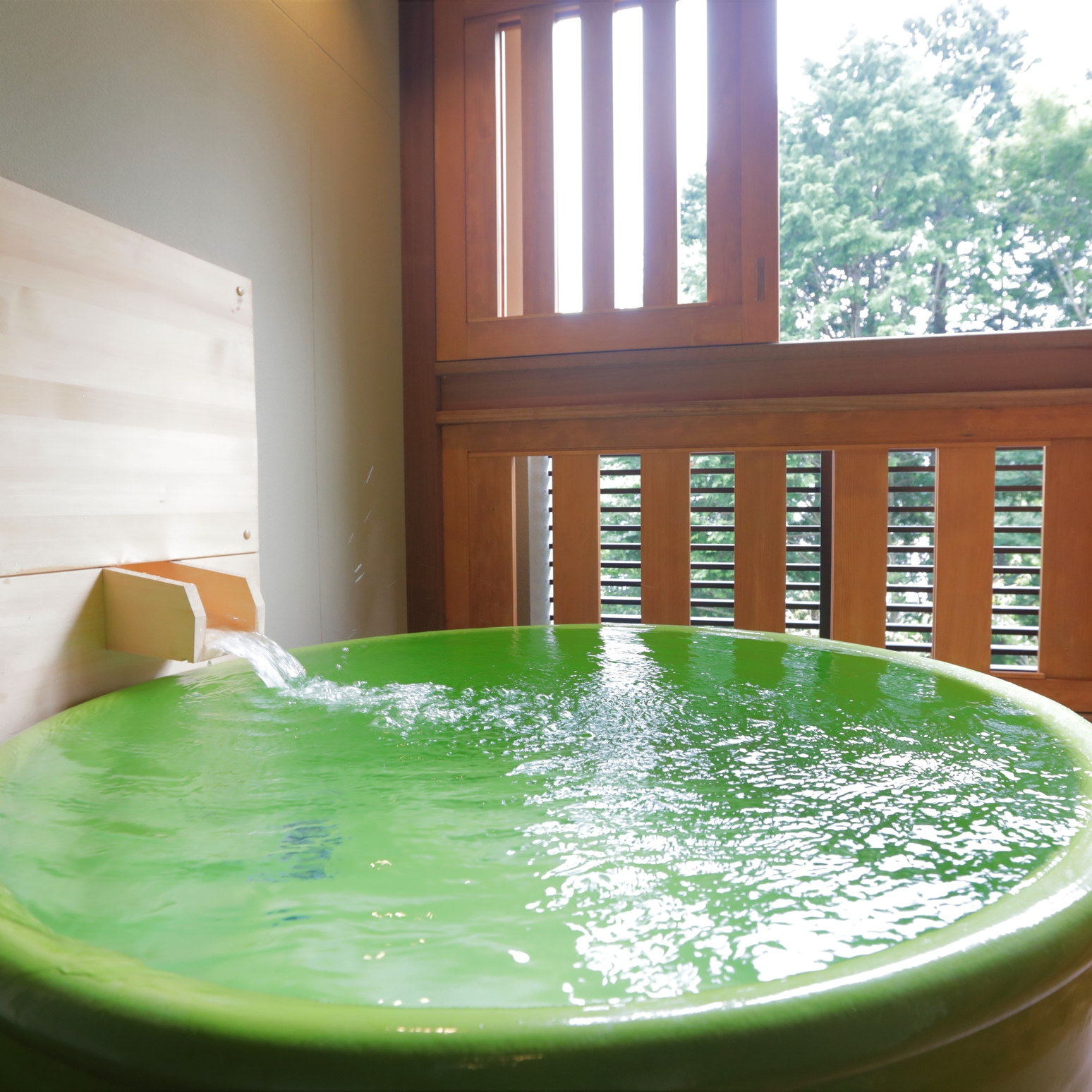 レジーナリゾート箱根仙石原の画像2