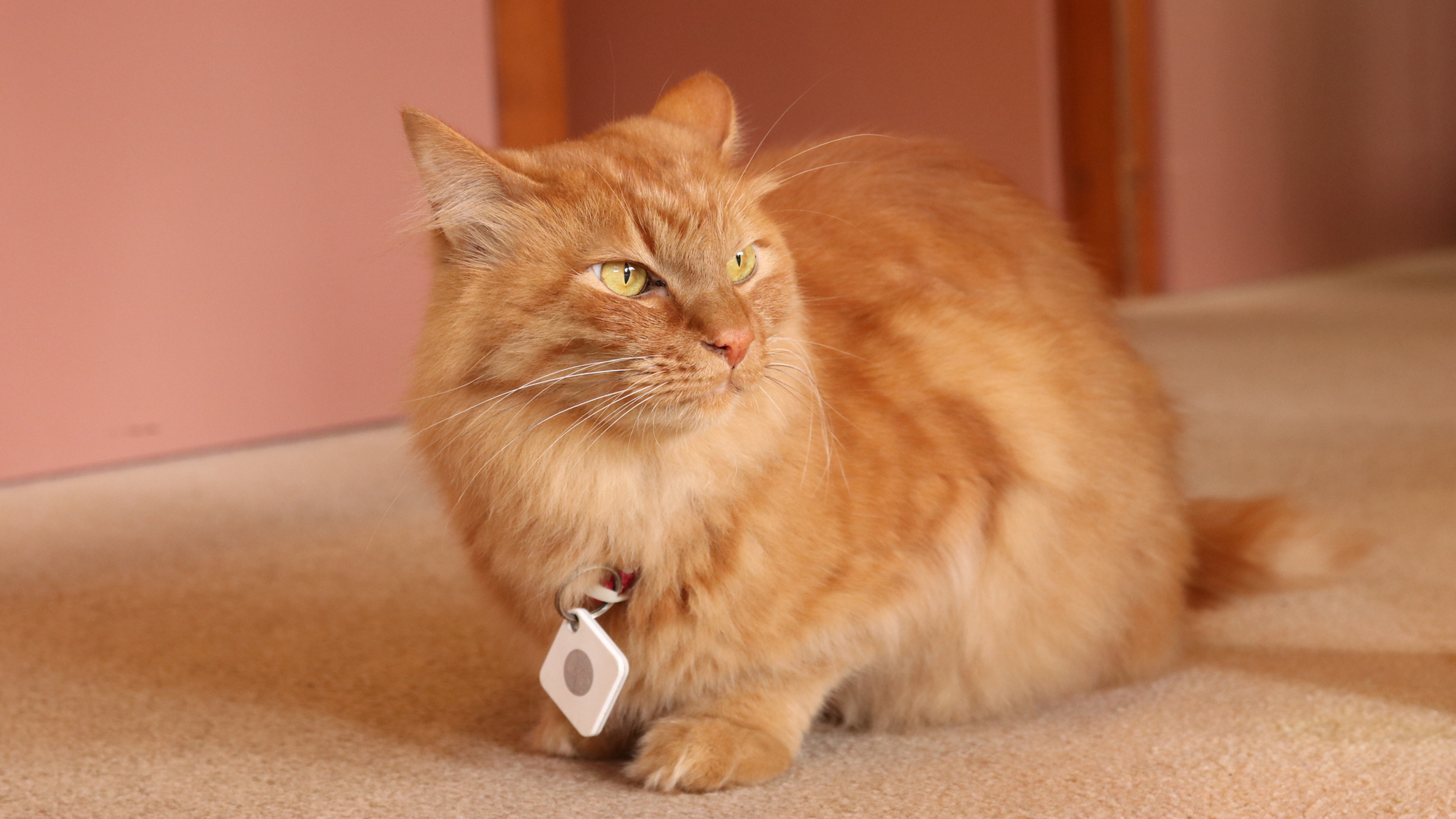 仙石原温泉 温泉旅館みたけの画像2
